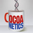 cocoanetics.com logo