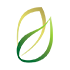colepav.com.br logo