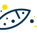 commeunpoissonjb.fr logo