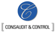 consaudit.cl logo