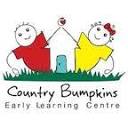 countrybumpkins.info logo