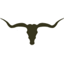countrygaucho.com.br logo