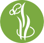 craftindia.in logo
