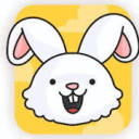 crazybunny.in logo