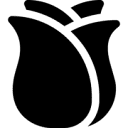 cvecaraivona.rs logo