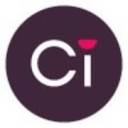 cyberint.com logo