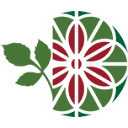 dalia.ro logo