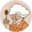 daniababcizosi.pl logo