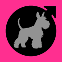 davesimmons.io logo
