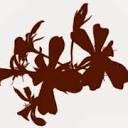 debruidsgalerie.nl logo