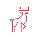 deerlab.studio logo