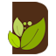 dendrokoncept.pl logo