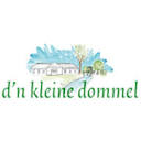 denkleinedommel.nl logo