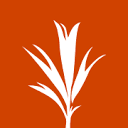 developmentseed.org logo