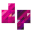 digitalpix.nl logo