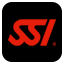 divessi.com logo