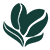 donaolgacafe.com.br logo