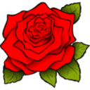 dostavim-cvety-dn.ru logo