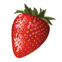 dvo.com logo