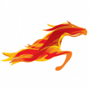 erezionivincenti.it logo