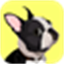 everydoggy.com logo