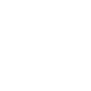 eviral.ru logo