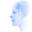 face-rec.org logo