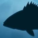 fishrulesapp.com logo
