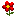 flowerstoday.ru logo