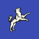 foolsdog.com logo