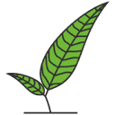 groengraag.nl logo