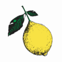 iamaflowerchild.com logo