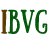 ibogavision.ru logo