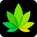 advicebrands.com logo