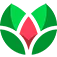 maxsi.id logo