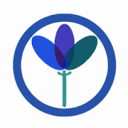 mograsys.co.in logo