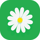 myflowers.co.uk logo