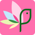myglobalflowers.com logo