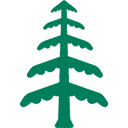 newworldlibrary.com logo