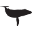 obis.org logo