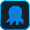 octopus.com logo