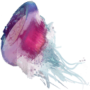 ohi-science.org logo