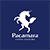pacamaracoffee.com logo