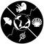 paleobiodb.org logo