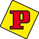 paninigroup.com logo