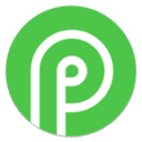 payid19.com logo