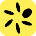 perawallet.app logo