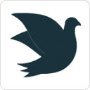 pigeon-tech.com logo
