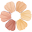 skincolor.net logo