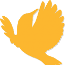 smartcaro.org logo